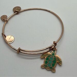 Alex and Ani Turtle Bracelet